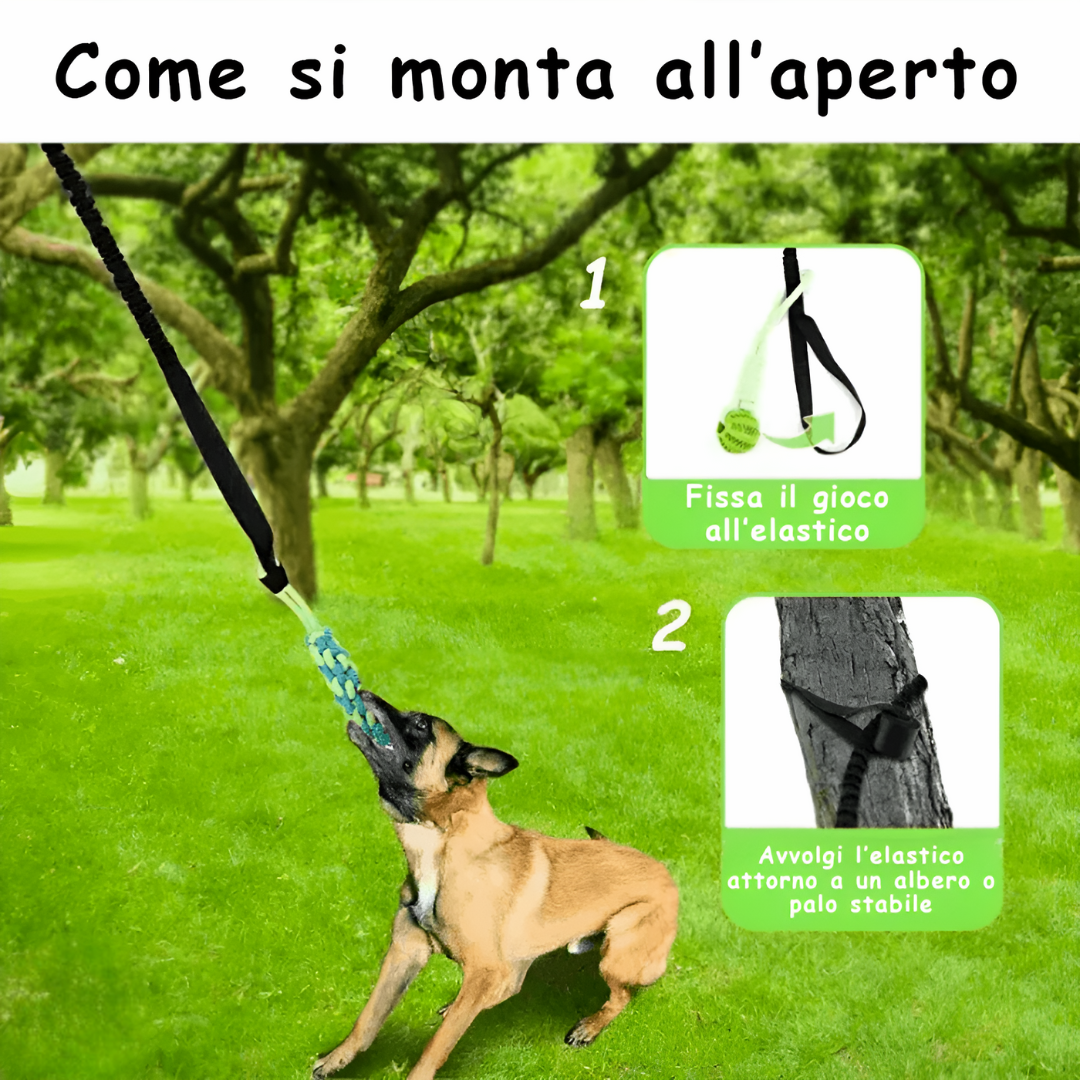 Giocattolo da Tiro Resistente per Cani - Bobby's