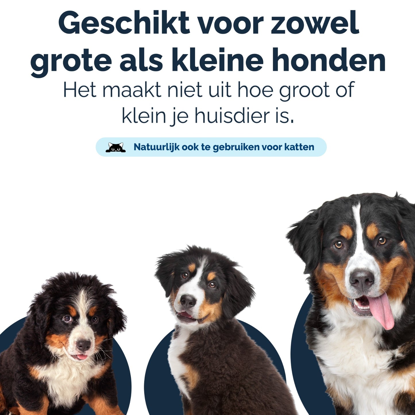 Bobby’s Professionele Nagelknipper Hond en Kat
