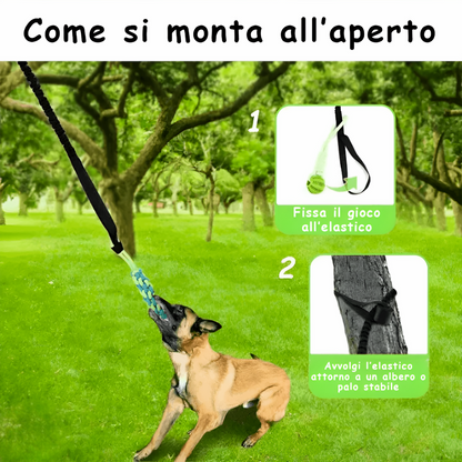 Giocattolo da Tiro Resistente per Cani - Bobby's