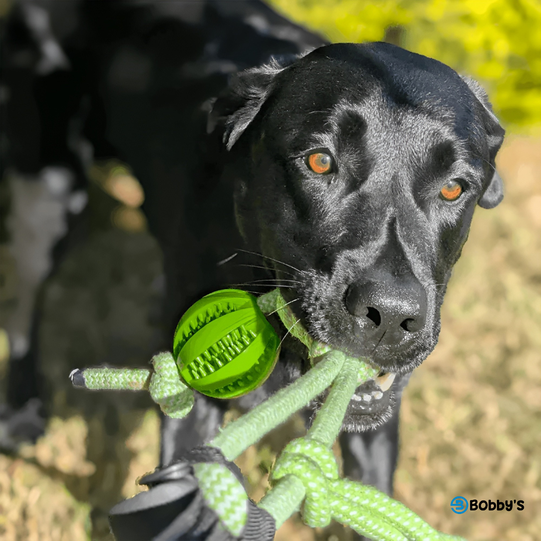 Giocattolo da Tiro Resistente per Cani - Bobby's