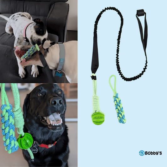 Giocattolo da Tiro Resistente per Cani - Bobby's