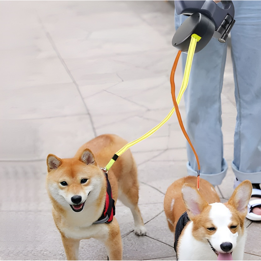 Guinzaglio Doppio 2-in-1 per Cani con Luce LED Bobby’s