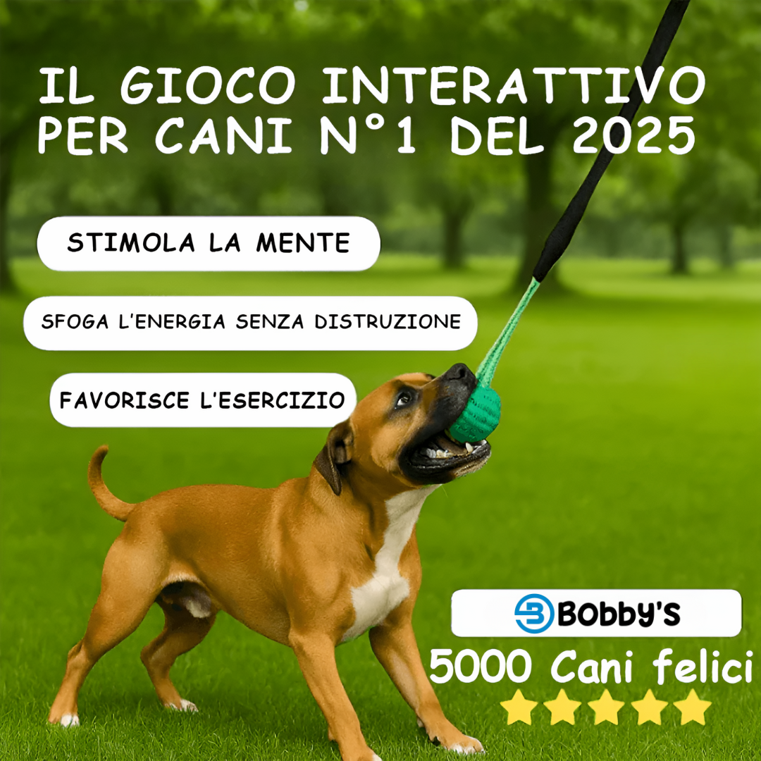 Giocattolo da Tiro Resistente per Cani - Bobby's