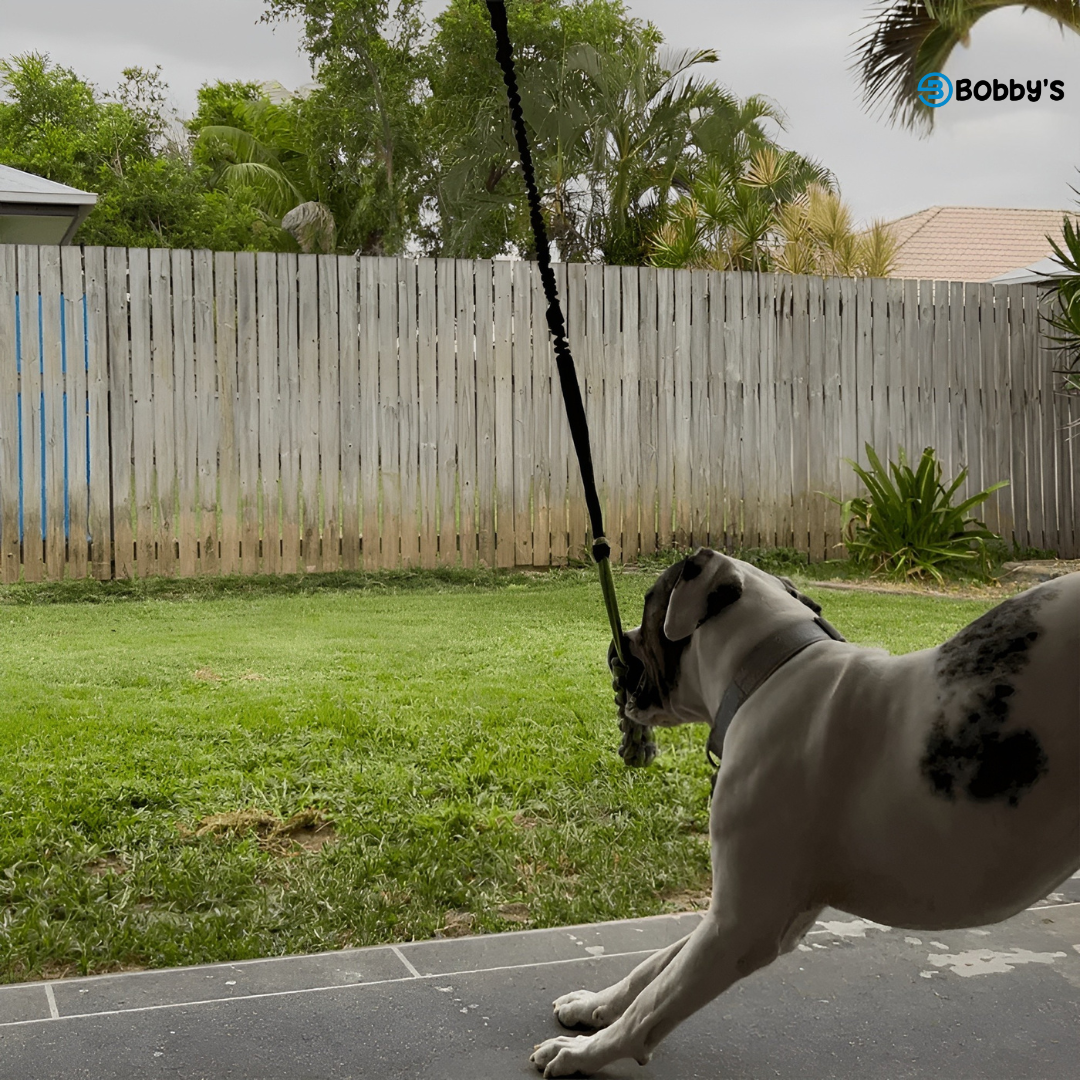 Giocattolo da Tiro Resistente per Cani - Bobby's