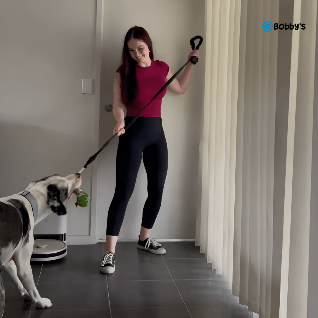 Giocattolo da Tiro Resistente per Cani - Bobby's
